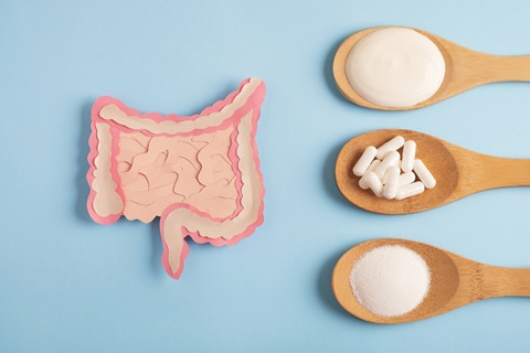 Les probiotiques sous forme de compléments alimentaires